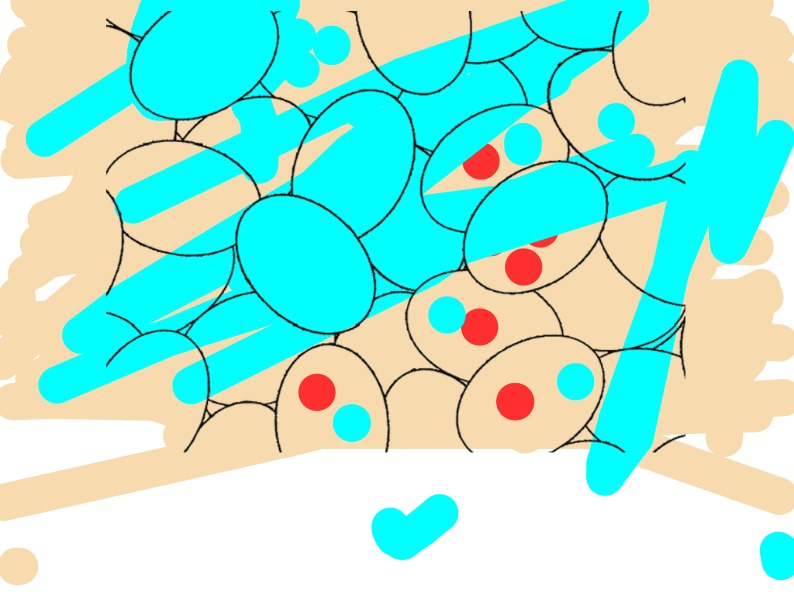 bojanke_1745395639.png