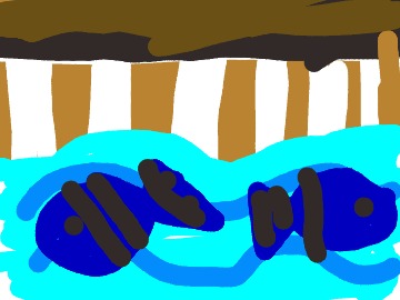 bojanke_1745589132.png