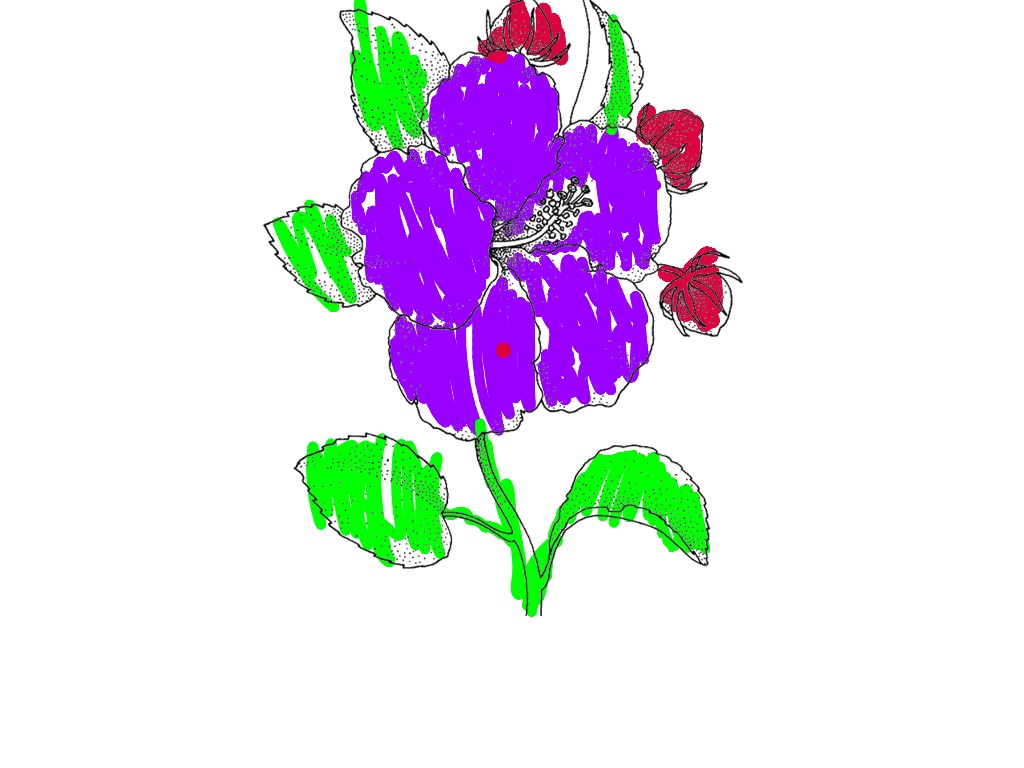 bojanke_1745656104.png