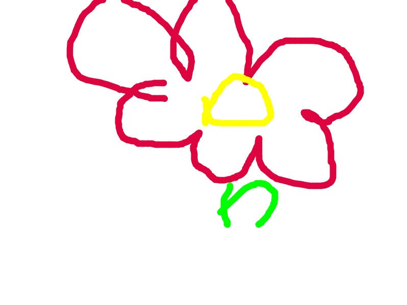 bojanke_1745770589.png