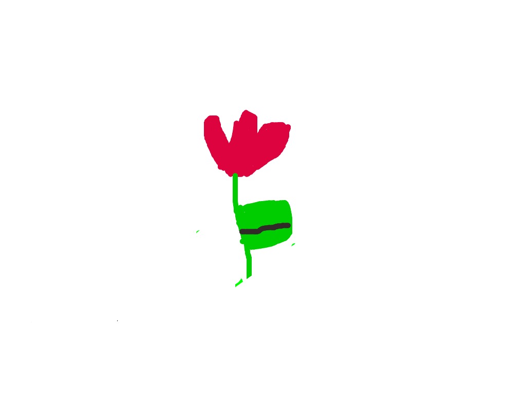 bojanke_1746180342.png