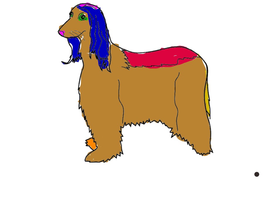 bojanke_1746559434.png