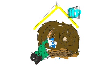 bojanke_1746990853.png