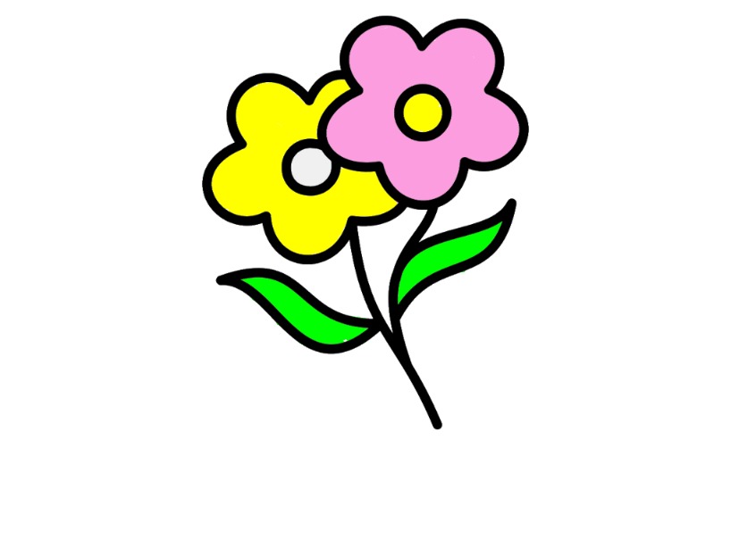 bojanke_1747480713.png