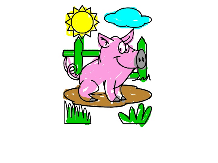 bojanke_1747561978.png