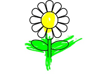 bojanke_1747846318.png