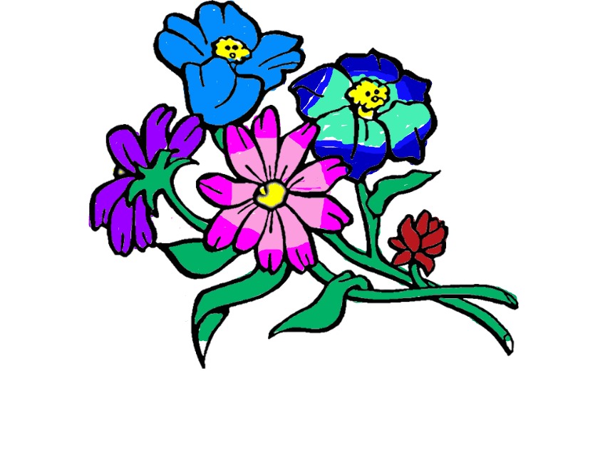 bojanke_1748006625.png