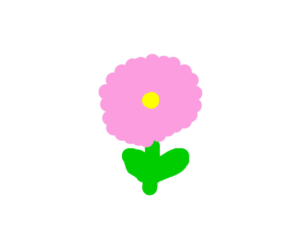 bojanke_1748185294.png