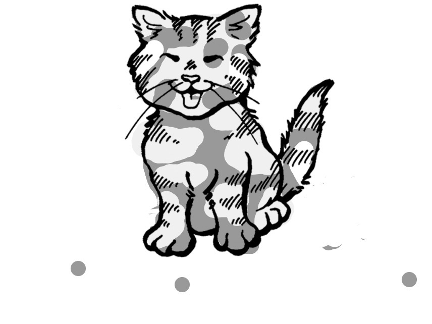 bojanke_1748255615.png