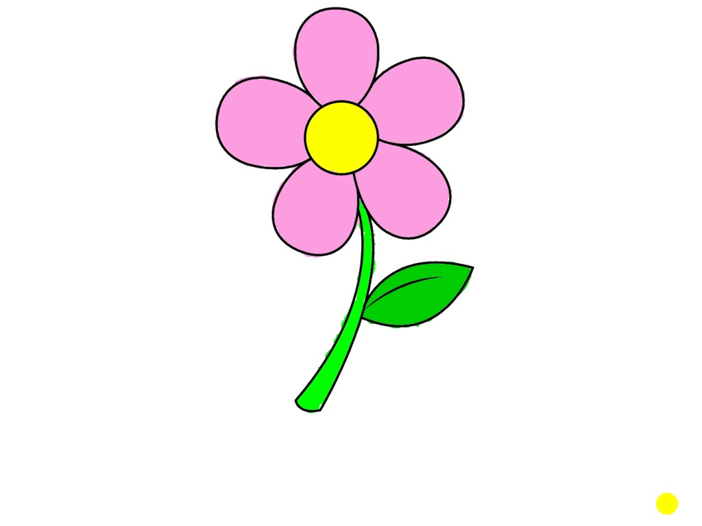 bojanke_1748273841.png