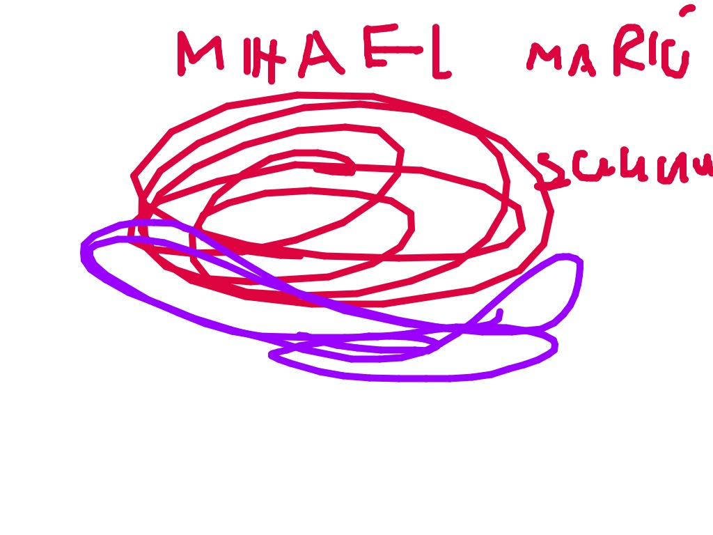 bojanke_1748854636.png