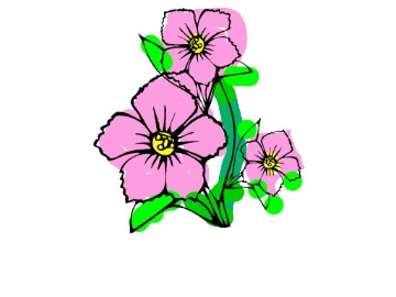 bojanke_1750450578.png