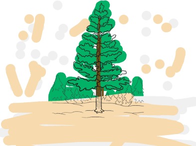 bojanke_1750451523.png