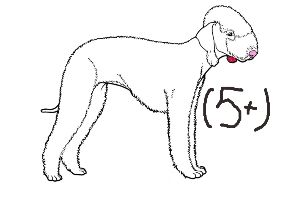 bojanke_1750918219.png