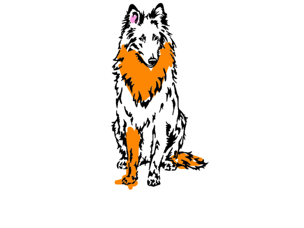 bojanke_1750936101.png