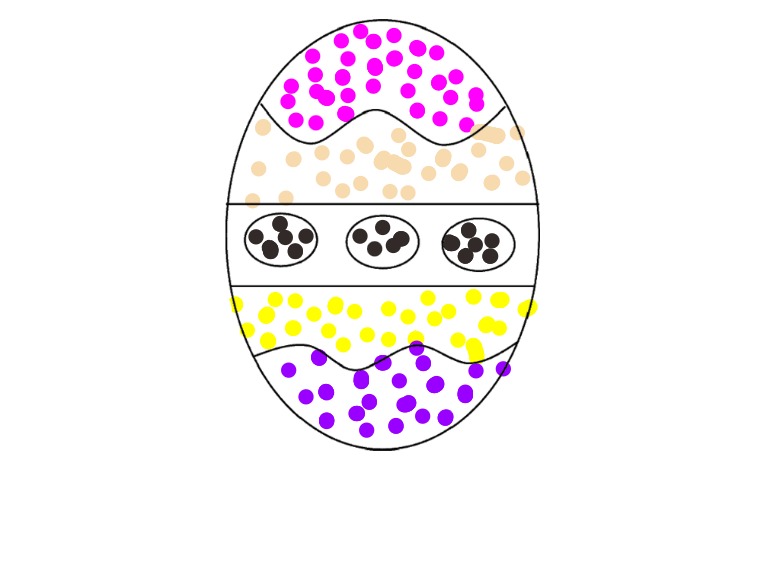 bojanke_1751559959.png