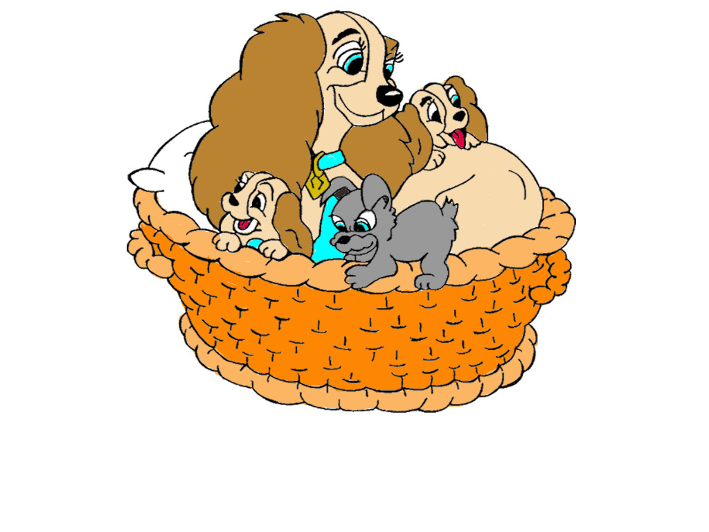 bojanke_1752834063.png