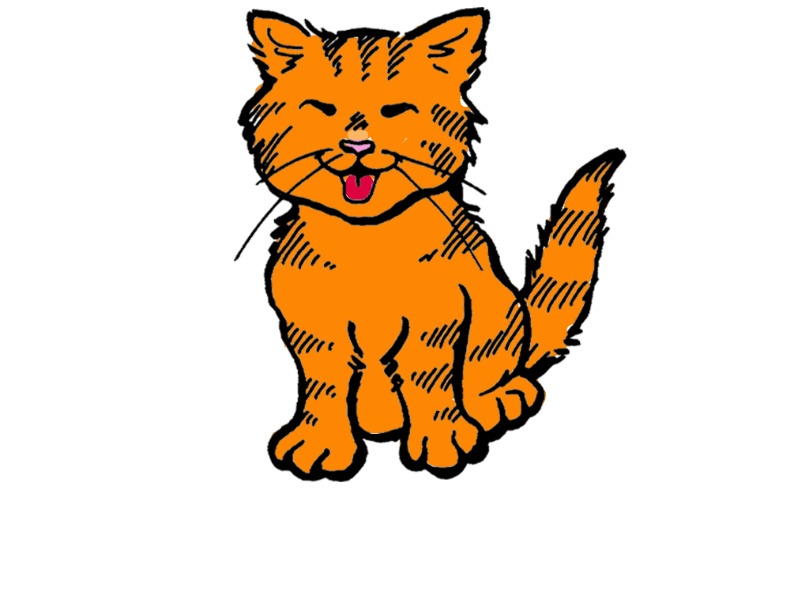 bojanke_1753637064.png