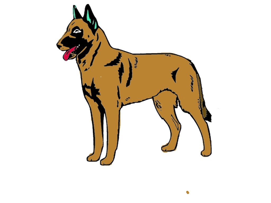 bojanke_1754386197.png