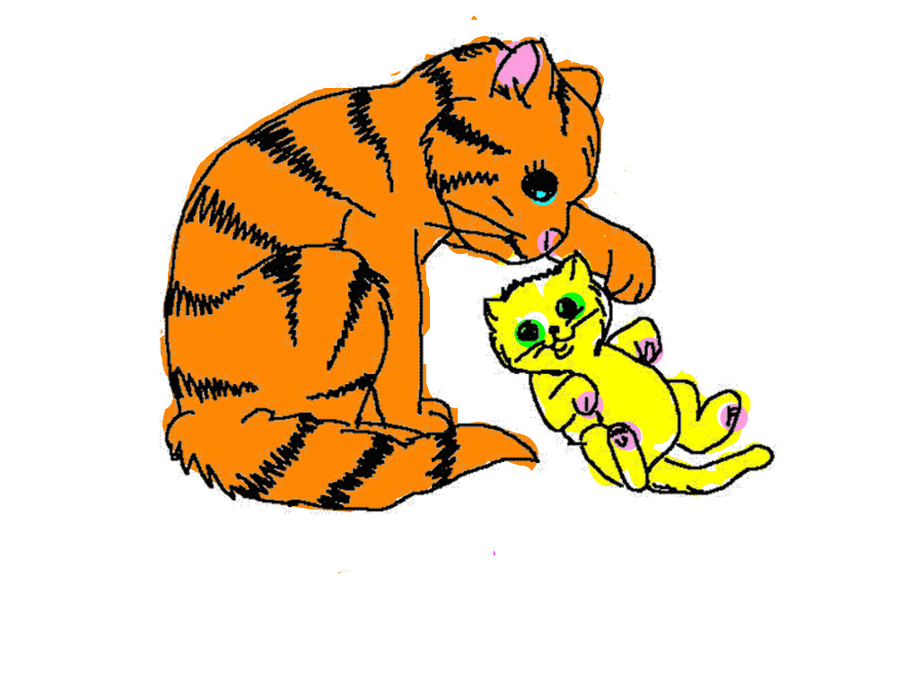bojanke_1754762666.png