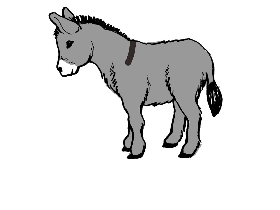 bojanke_1754894771.png