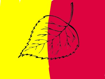 bojanke_1755190849.png