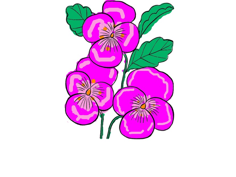 bojanke_1755870803.png