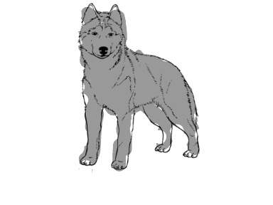 bojanke_1755887567.png