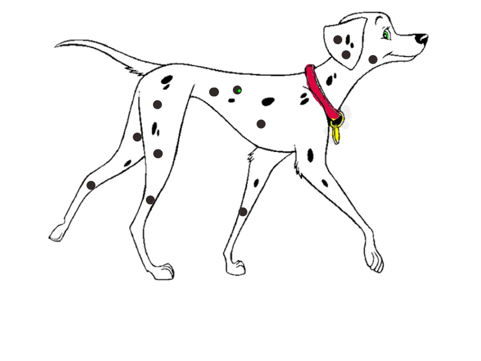 bojanke_1755950870.png