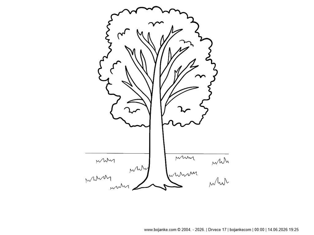 bojankecom_14-06-2026_19-25.png